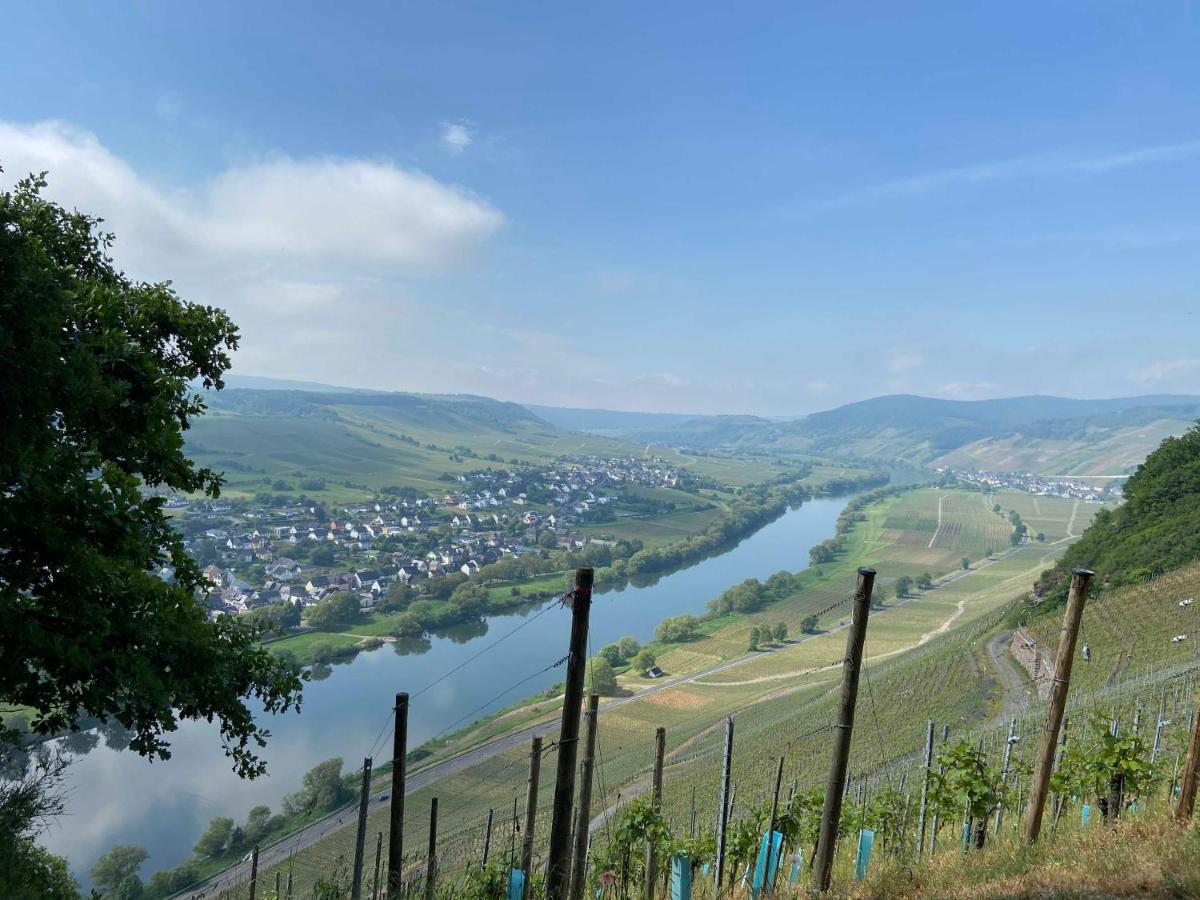 شقة Neu!!! Moselbleibe Winzerhaus Kues برنكاستيل كويس المظهر الخارجي الصورة